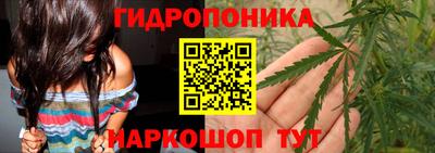 2c-b Лесосибирск