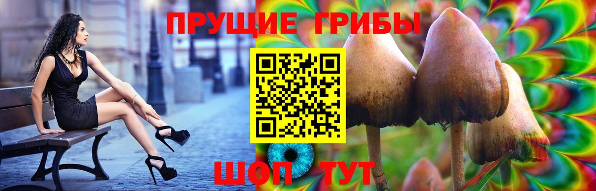 Псилоцибиновые грибы ЛСД Чита